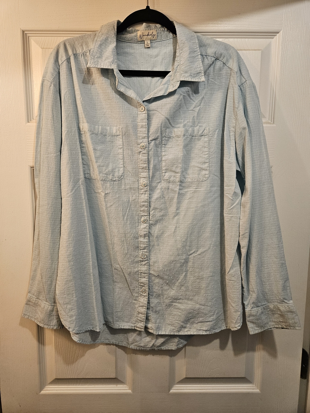 Wonderly Light Blue Button-Down Shirt